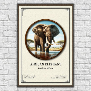 Póster Serie de Zoología del Elefante Africano