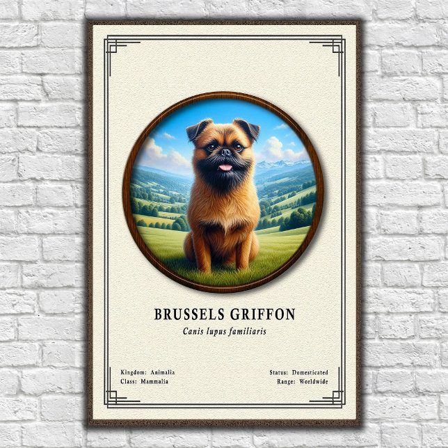 Póster Serie de Zoología del Griffon de Bruselas (Subido por el creador)
