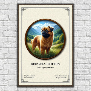 Póster Serie de Zoología del Griffon de Bruselas
