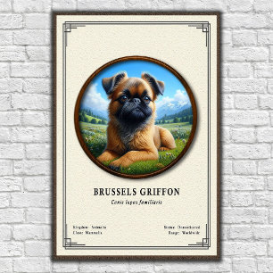 Póster Serie de Zoología del Griffon de Bruselas