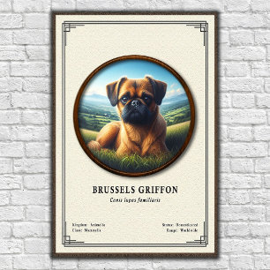 Póster Serie de Zoología del Griffon de Bruselas