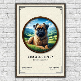 Póster Serie de Zoología del Griffon de Bruselas