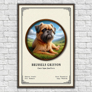 Póster Serie de Zoología del Griffon de Bruselas