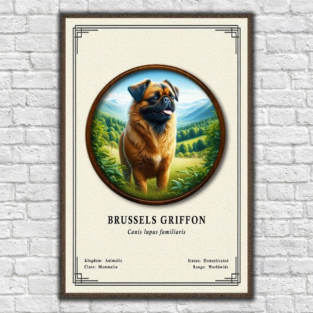 Póster Serie de Zoología del Griffon de Bruselas (Subido por el creador)