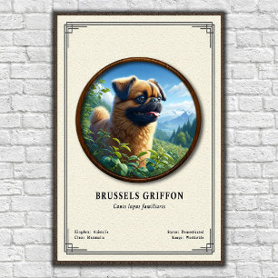 Póster Serie de Zoología del Griffon de Bruselas