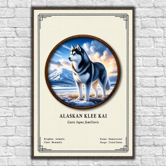 Póster Serie de Zoología del Klee Kai de Alaska (Subido por el creador)