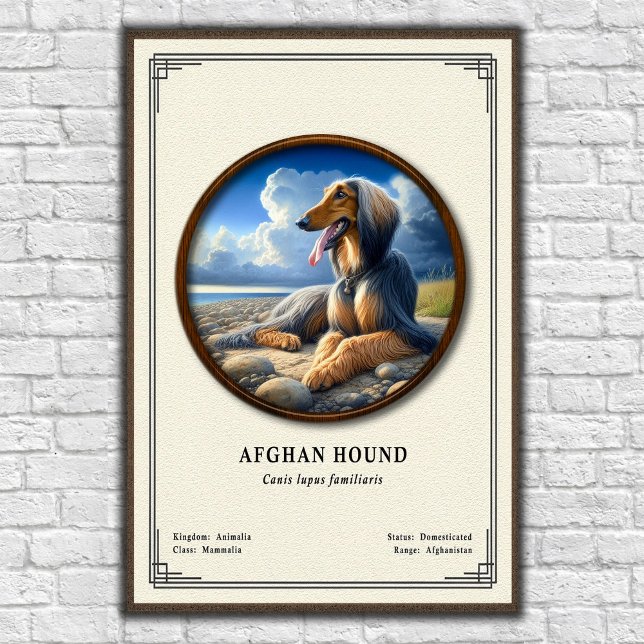 Póster Serie de Zoología del Lebrel Afgano (Subido por el creador)