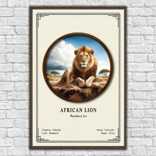 Póster Serie de Zoología del León Africano