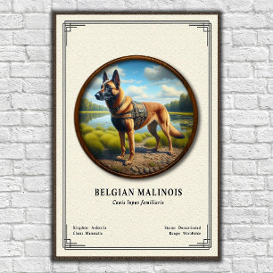 Póster Serie de Zoología del Malinois Belga