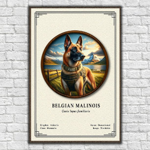 Póster Serie de Zoología del Malinois Belga