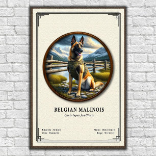 Póster Serie de Zoología del Malinois Belga