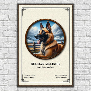 Póster Serie de Zoología del Malinois Belga
