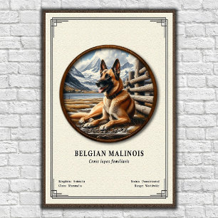 Póster Serie de Zoología del Malinois Belga