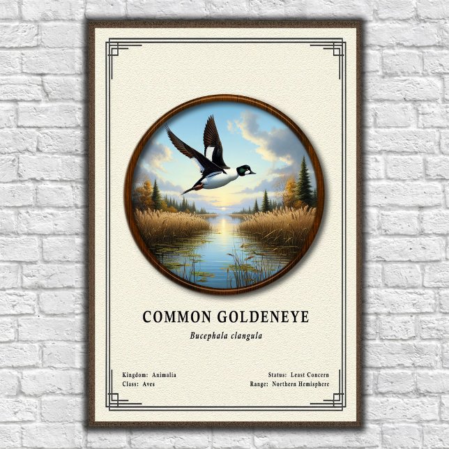 Póster Serie de Zoología del Ojo de Oro Común (Subido por el creador)