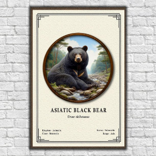 Póster Serie de Zoología del Oso Negro Asiático