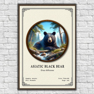 Póster Serie de Zoología del Oso Negro Asiático