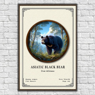 Póster Serie de Zoología del Oso Negro Asiático