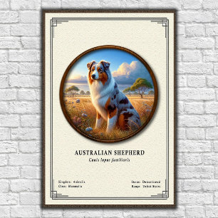 Póster Serie de Zoología del Pastor Australiano