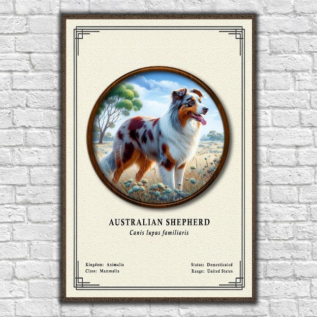Póster Serie de Zoología del Pastor Australiano (Subido por el creador)