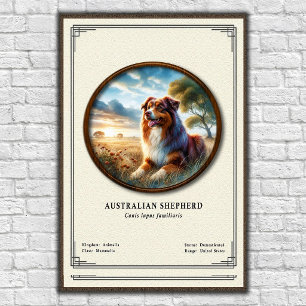 Póster Serie de Zoología del Pastor Australiano