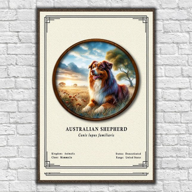 Póster Serie de Zoología del Pastor Australiano (Subido por el creador)