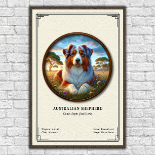 Póster Serie de Zoología del Pastor Australiano