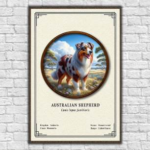 Póster Serie de Zoología del Pastor Australiano