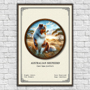 Póster Serie de Zoología del Pastor Australiano