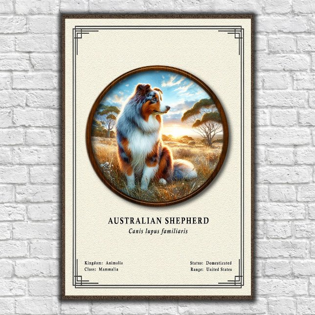 Póster Serie de Zoología del Pastor Australiano (Subido por el creador)