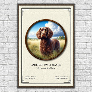 Póster Serie de Zoología del Perro de Agua Americano