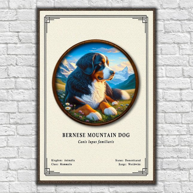 Póster Serie de Zoología del Perro de Montaña de Berna (Subido por el creador)