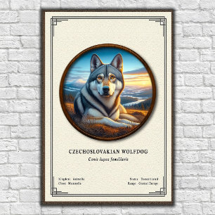 Póster Serie de Zoología del Perro Lobo Checoslovaco