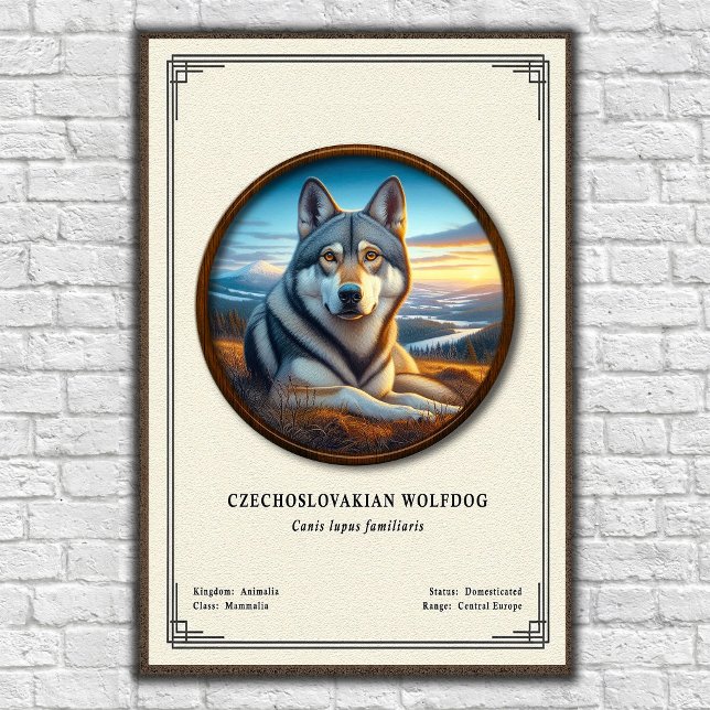 Póster Serie de Zoología del Perro Lobo Checoslovaco (Subido por el creador)