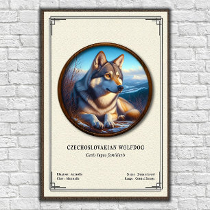 Póster Serie de Zoología del Perro Lobo Checoslovaco