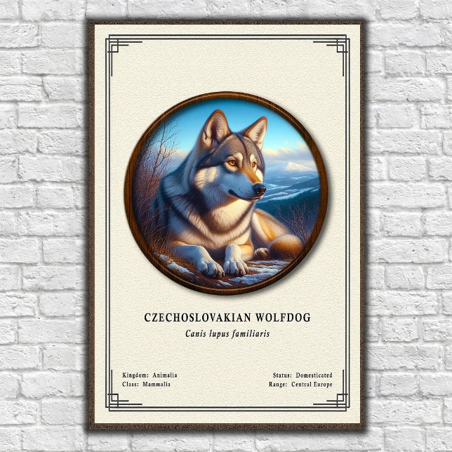 Póster Serie de Zoología del Perro Lobo Checoslovaco (Subido por el creador)