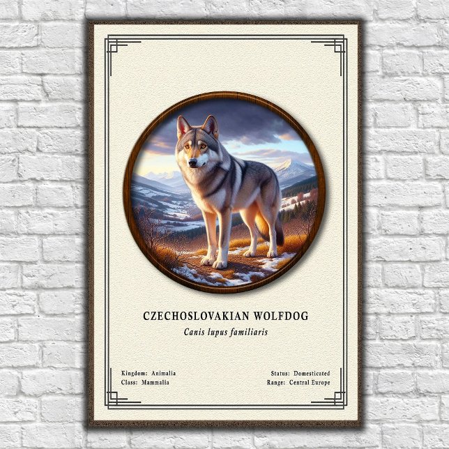 Póster Serie de Zoología del Perro Lobo Checoslovaco (Subido por el creador)