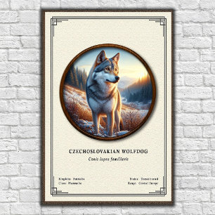 Póster Serie de Zoología del Perro Lobo Checoslovaco