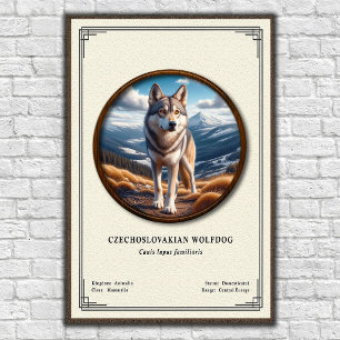 Póster Serie de Zoología del Perro Lobo Checoslovaco