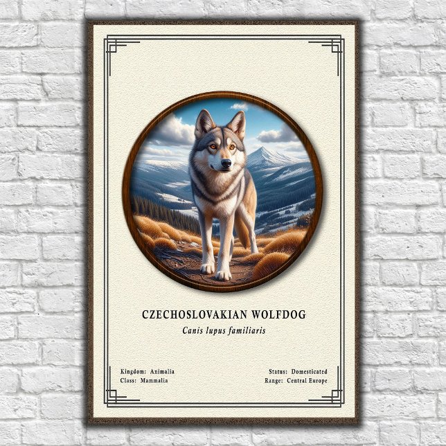 Póster Serie de Zoología del Perro Lobo Checoslovaco (Subido por el creador)