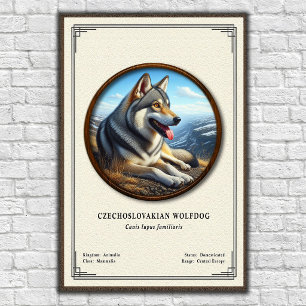 Póster Serie de Zoología del Perro Lobo Checoslovaco