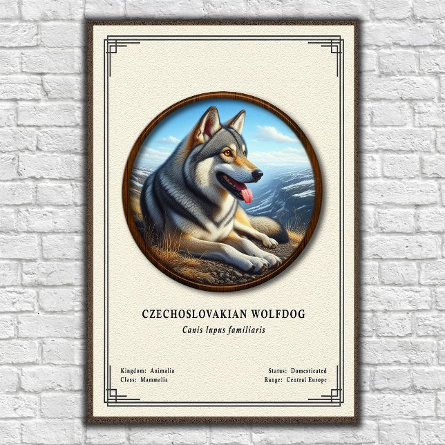 Póster Serie de Zoología del Perro Lobo Checoslovaco (Subido por el creador)