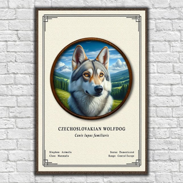 Póster Serie de Zoología del Perro Lobo Checoslovaco (Subido por el creador)