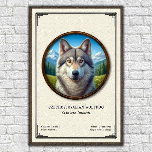 Póster Serie de Zoología del Perro Lobo Checoslovaco