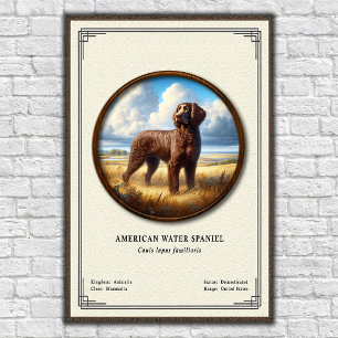 Póster Serie de Zoología del Spaniel de Agua Americano