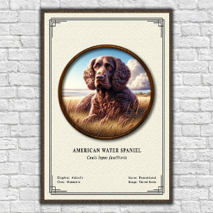 Póster Serie de Zoología del Spaniel de Agua Americano