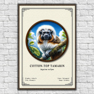 Póster Serie de Zoología del Tamarino de Cabeza Blanca