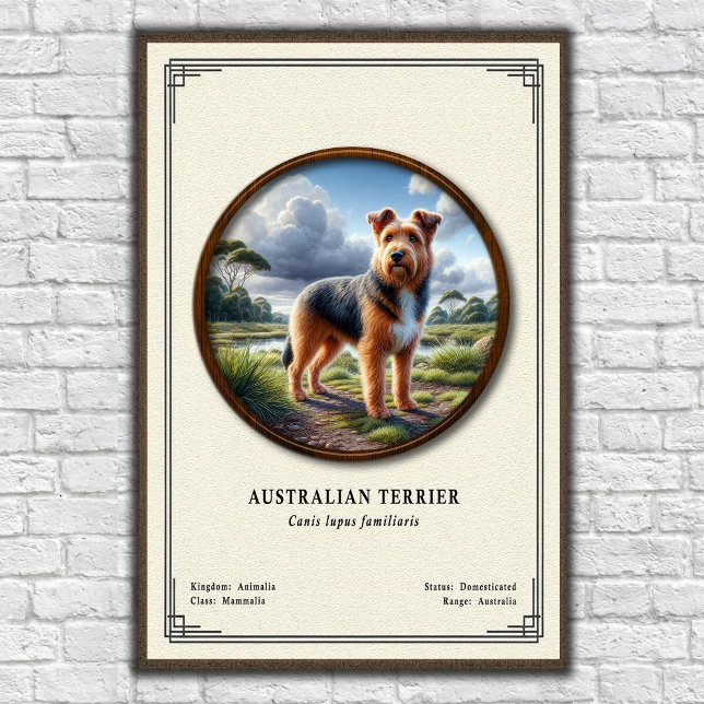Póster Serie de Zoología del Terrier Australiano (Subido por el creador)