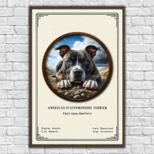 Póster Serie de Zoología del Terrier Staffordshire Americ