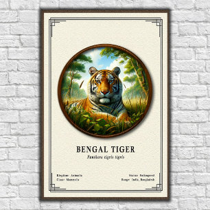 Póster Serie de Zoología del Tigre de Bengala