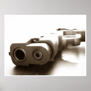 Póster Serie del arma